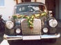 Mercedes-Benz 190 Db Ponton mit grossen Faltdach (Bj. 1960) - Galerie - Bild 2