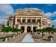 Lorbeerbaum alt im Edelstahlring mit Deckbepflanzung