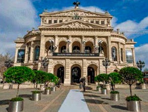 Lorbeerbaum alt im Edelstahlring mit Deckbepflanzung