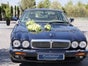 Jaguar XJ8 Sovereign - Galerie - Bild 3