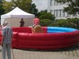 Bullriding - Amerikan Rodeo - Galerie - Bild 3