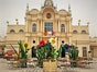Riesenblumen, Frühlings Blumen,  Blumen XXL , Blumen Dekoration - Galerie - Bild 3