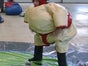 Sumoringen - Sumowrestling inkl.19% MwSt. - Galerie - Bild 2