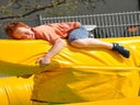 Bananenrodeo - Bullriding Variante inkl. 19% MwSt.