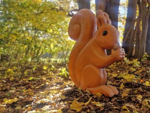 Eichhörnchen