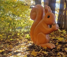 Eichhörnchen