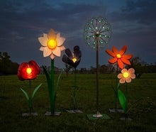 Leuchtende Blumen - Blumenwiese