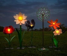 Leuchtende Blumen - Blumenwiese