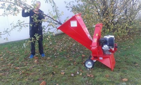 Häcksler bis 8 cm Aststärke, Benzin, Häcksler 1820733499 mieten
