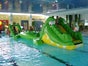 Schnappi, aufblasbare Wasser-Hüpfurg mit Spielelementen inkl. 19% MwSt. - Galerie - Bild 4
