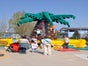 Kletterpalme / Kletterberg -  inkl. 19% MwSt. - Galerie - Bild 4