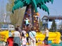 Kletterpalme / Kletterberg - inkl. 19% MwSt. - Galerie - Bild 4
