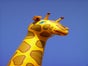 Hüpfburg "Giraffe" - Galerie - Bild 3