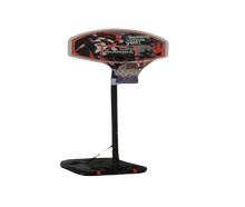 Basketball-Anlage
