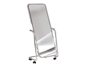 Standspiegel / Ganzkörperspiegel / standing mirror