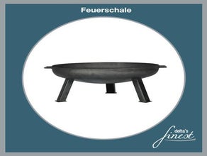 Feuerschale / Feuer / Brennholz