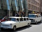 Trabi Limo Spass Limousine Party Trabant Stretchlimousine - Galerie - Bild 4