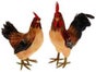 Hühner - Figuren, Huhn, Bauernhof, Tier - Galerie - Bild 2