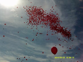 Ballonweitflug / Ballonkartenflug