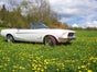 1968er Ford Mustang Cabriolet als Hochzeitsfahrzeug - Galerie - Bild 2