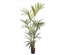 Kentiapalme 150 cm Kunstpflanze Palme Pflanze Dekopflanze