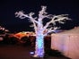 Lichterbaum - LED Baum - Leuchtender Baum - Galerie - Bild 4