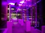 Elblocation - Galerie - Bild 4