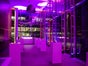 Elblocation - Galerie - Bild 4