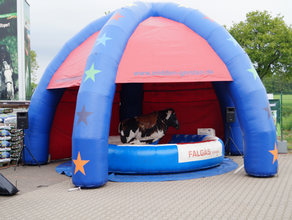 Dome - Überdachung mieten – Springburg, Luftburg, Kinderhüpfburg, Eventmodul