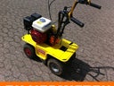 Rasenschälmaschine mit Benzin Motor - Galerie - Bild 1