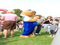 Walk-Act Bär / Laufkostüm / Paradekostüm / Kostüm - Galerie - Bild 3