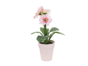 Gerbera-Kunstblumen Pink 6er Set mieten – Miettisch, Eventtisch, Veranstaltungstisch, Partytisch - Galerie - Bild 1