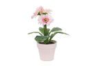 Gerbera-Kunstblumen Pink 6er Set mieten – Miettisch, Eventtisch, Veranstaltungstisch, Partytisch - Galerie - Bild 1