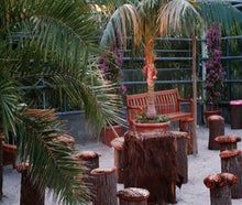 Baumstumpf-Hocker mit Palmbast