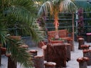 Baumstumpf-Hocker mit Palmbast