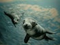Hai Unterwasser Bühnenbild - Galerie - Bild 3