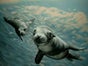 Hai Unterwasser Bühnenbild - Galerie - Bild 3