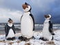 Pinguine- Südpol Diorama, Winterdekorationen, Winter - Galerie - Bild 2