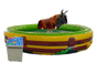 Bullriding inkl. Personal 6 Stunden - Galerie - Bild 2
