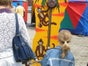 Kinder Hau den Lukas - Galerie - Bild 3