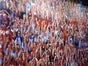 Publikum, Tribüne, Formel 1, Fußball, Autorennen - Galerie - Bild 2