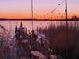 Vintage Lichterketten - hängende Glühlampen - Galerie - Bild 3