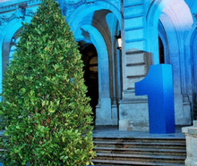 Lorbeerpyramide Extra im Edelstahlring