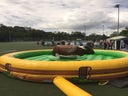 Bull Riding Top Frühlingsangebot inkl. kostenloser Regenrücktrittsversicherung - Galerie - Bild 1
