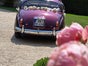 Hochzeitsauto mieten mit Chauffeur - Galerie - Bild 2