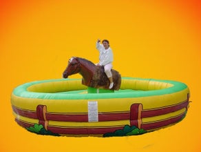 Pferde Rodeo