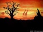 Afrika Kulisse, Sonnenuntergang, Giraffe, Savanne, Tiere, Wildtiere, Sonne - Galerie - Bild 3