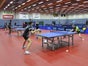 TISCHTENNISPLATTE MIETEN BERLIN UND UMLAND  -  SCHLÄGER, BÄLLE  - LIEFERUNG !! - Galerie - Bild 4
