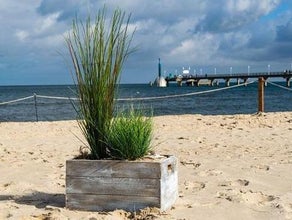 Maritime Dekoration - Strandkiste mit Dünengras