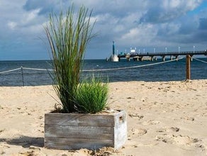 Maritime Dekoration - Strandkiste mit Dünengras